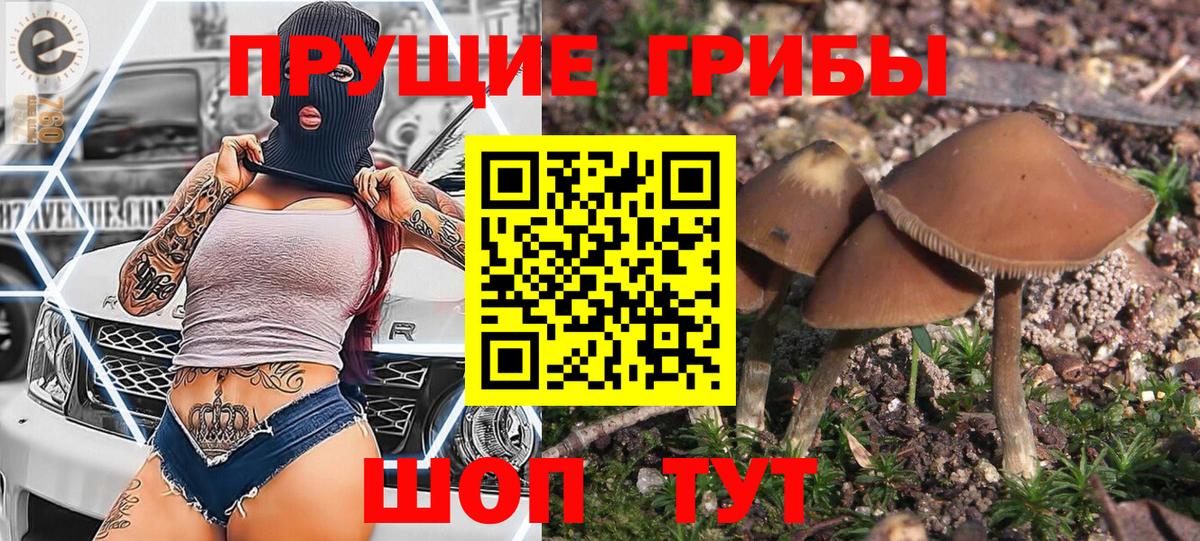 Верхний Уфалей  Псилоцибиновые грибы Cubensis  Вход с VPN 