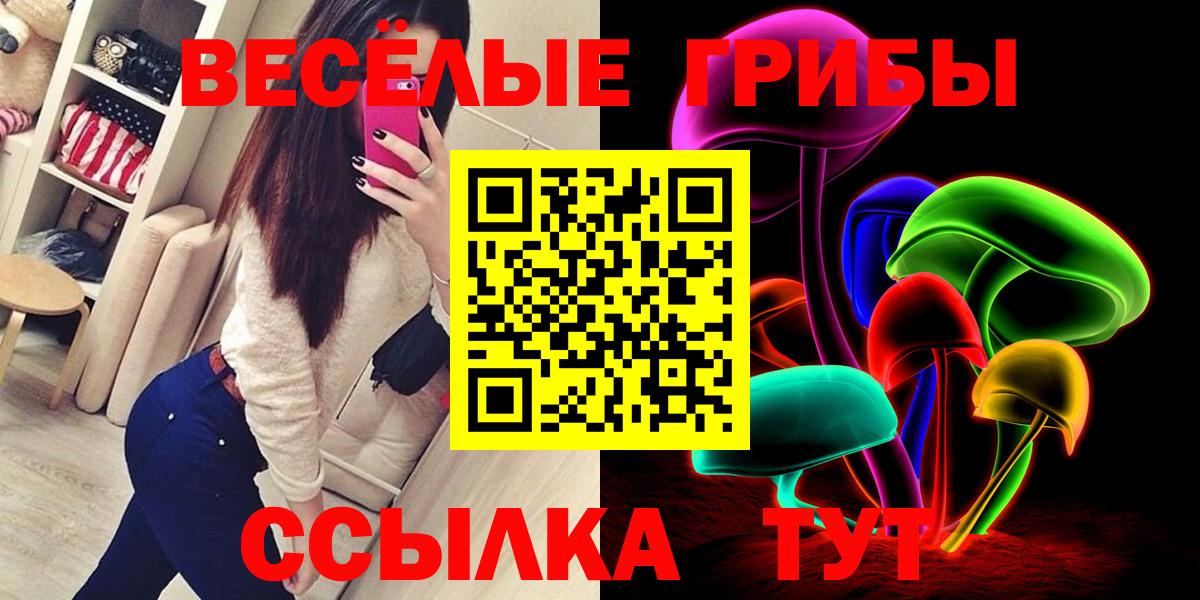 Галлюциногенные грибы Psilocybe Верхний Уфалей